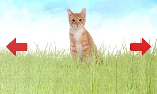 How to mod Animals for Kids patch 1.9 apk for bluestacks