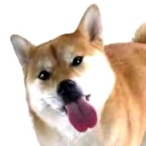 7Mcxs47eVKHr0g0UwZdToihSvmszlz9taUFrOPyf