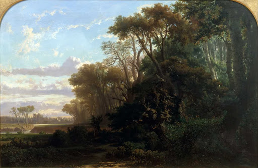 Landscape with Woods