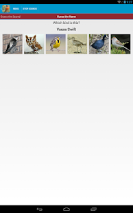 North American Birds Sounds Screenshots 5
