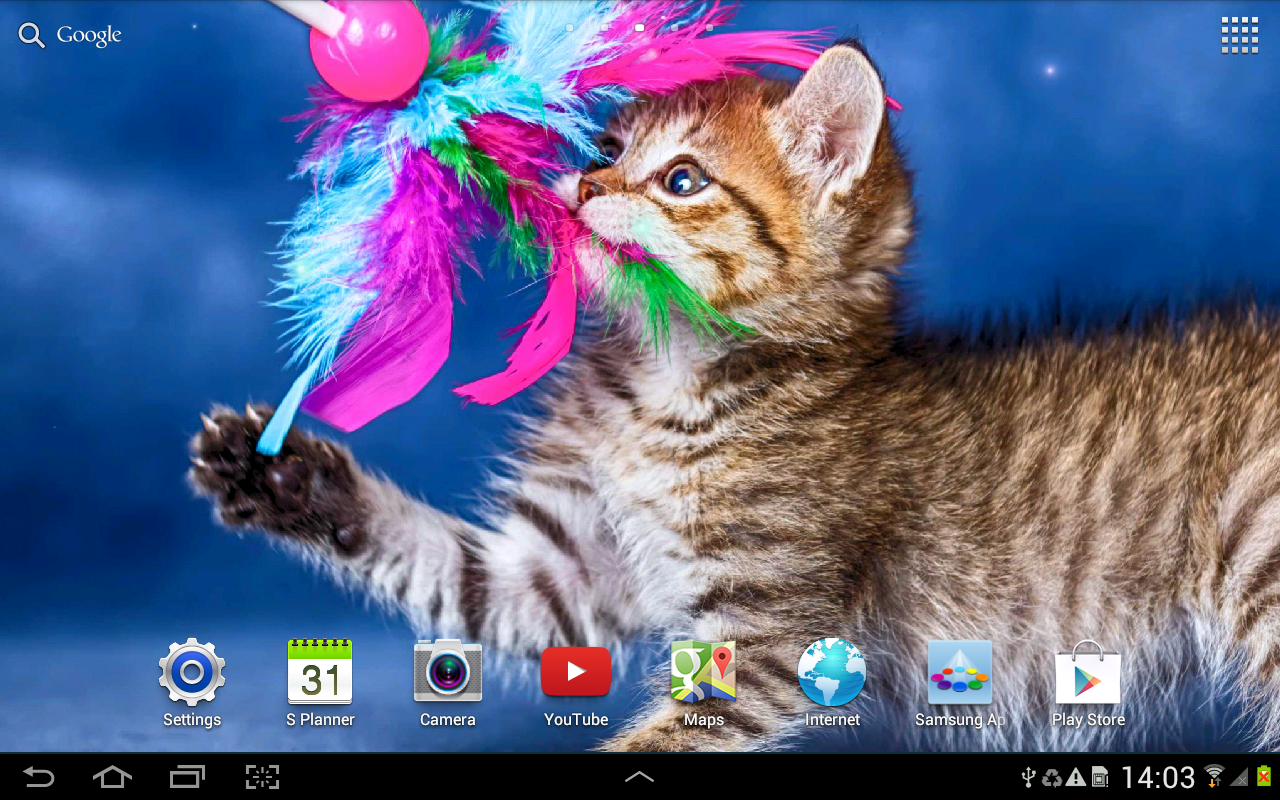  Cat  Live  Wallpaper  Android Apps auf Google Play