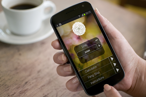 Feng Shui Number Screenshots 0