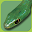 Snakes of Southern Africa Lite Download on Windows