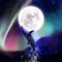 Dolphin Moon logo