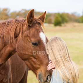 by Tiffany Lett - Animals Horses