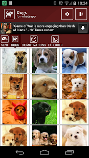 【休閒】Bubble Puppy crush-癮科技App