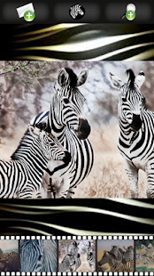 How to download Zebra Wallpapers 2.1 mod apk for pc