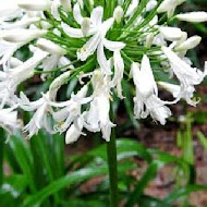 沐心泉休閒農場