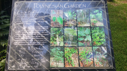 Polynesian Garden
