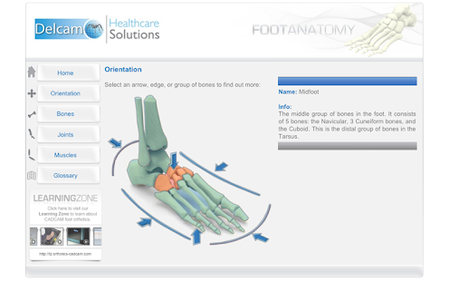   Foot Anatomy- screenshot thumbnail   