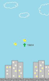 Urban Bird poster 10