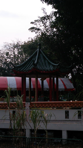 Pagoda Roof 
