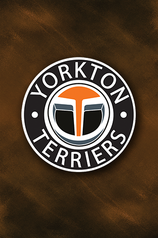 Yorkton Terriers