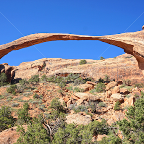 Landscape Arch by Jim Czech - Landscapes Caves & Formations