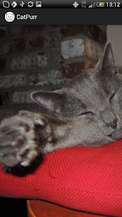 How to get CatPurr lastet apk for pc