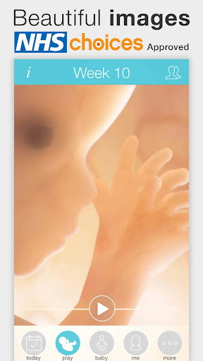 Exynos Pregnancy Calculator app - 首頁