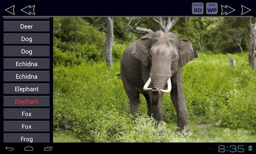 Animal ABC Book Screenshots 3