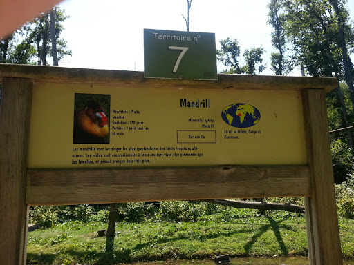 Mandrill