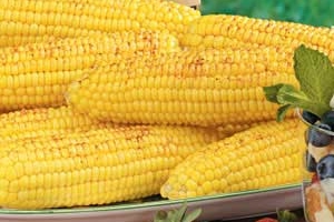 Roasted Corn on the Cob