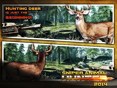 How to mod Jungle Animal Sniper Hunter 1.2 apk for laptop