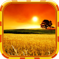 Landscape Wallpaper Apk