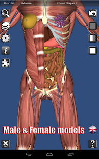download 3D Anatomy free