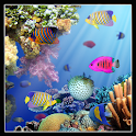 Under water PRO live wallpaper