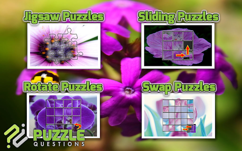 Free Purple Flower Puzzle Game Screenshots 6