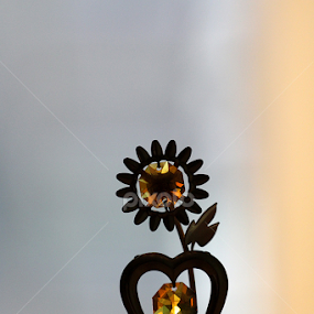 by Murshalin Ahmed - Artistic Objects Other Objects