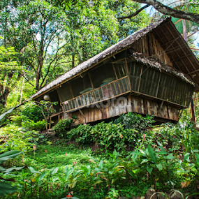 The Cabin by Victor Roman - Buildings & Architecture Homes