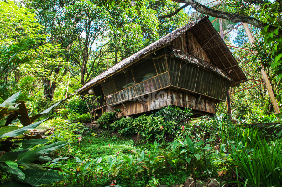 The Cabin by Victor Roman - Buildings & Architecture Homes