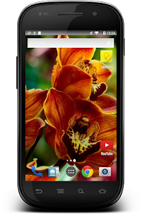 How to install Orchids Orchid Theme Wallpaper patch 1.03 apk for bluestacks