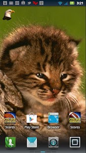 How to download Animals in Nature Live WP lastet apk for pc