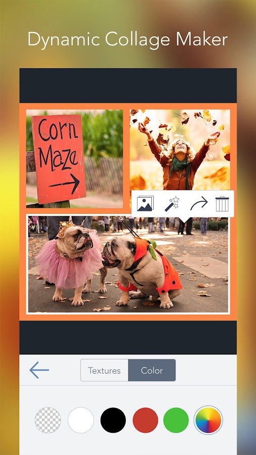 Photo Editor by BeFunky Android Apps on Google Play