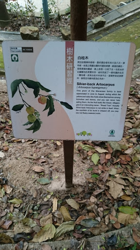 樹木研習徑 白桂木portal In Jardines Lookout Jardines Lookout Hong Kong Ingress Intel