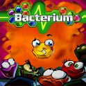 Bacterium