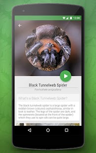 How to mod Bugs of New Zealand Free 5.2 apk for laptop