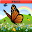 Coloring Book: Butterfly! FREE Download on Windows