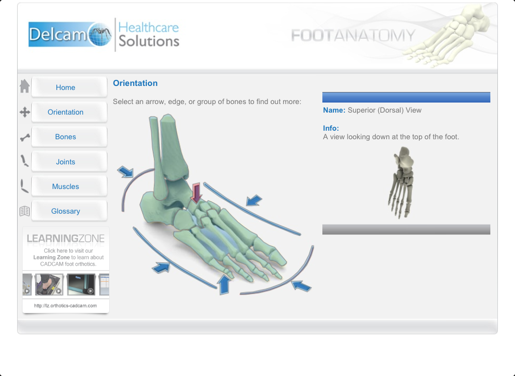   Foot Anatomy- screenshot  