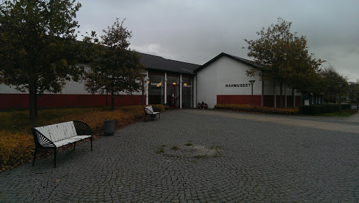 Amber Museum, Oksbøl