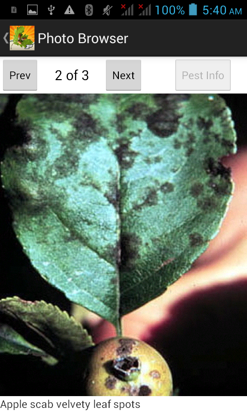 Purdue Tree Doctor Screen 3