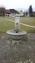 Fountain At Train Station Wangen