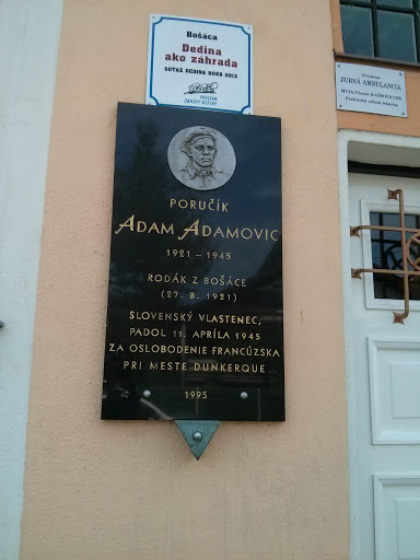 Adam Adamovic