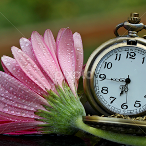 Good Morning by Dipali S - Artistic Objects Other Objects