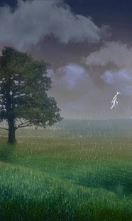Lastest Rain Live Wallpaper APK