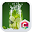 Green Lime Summer Theme HD Download on Windows