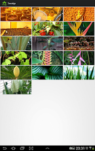 Terralgo Indoor Screenshots 7