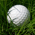 Speed Golf Lite logo