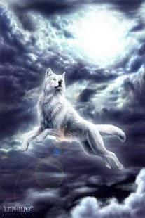 Wolf HD Wallpapers FREE Screenshots 13