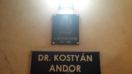 Dr Kostyán Andor Emléktábla